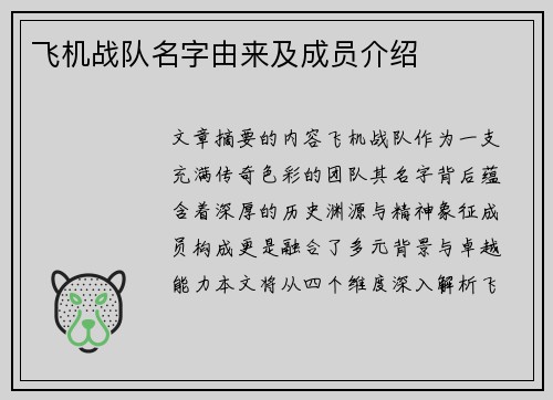 飞机战队名字由来及成员介绍